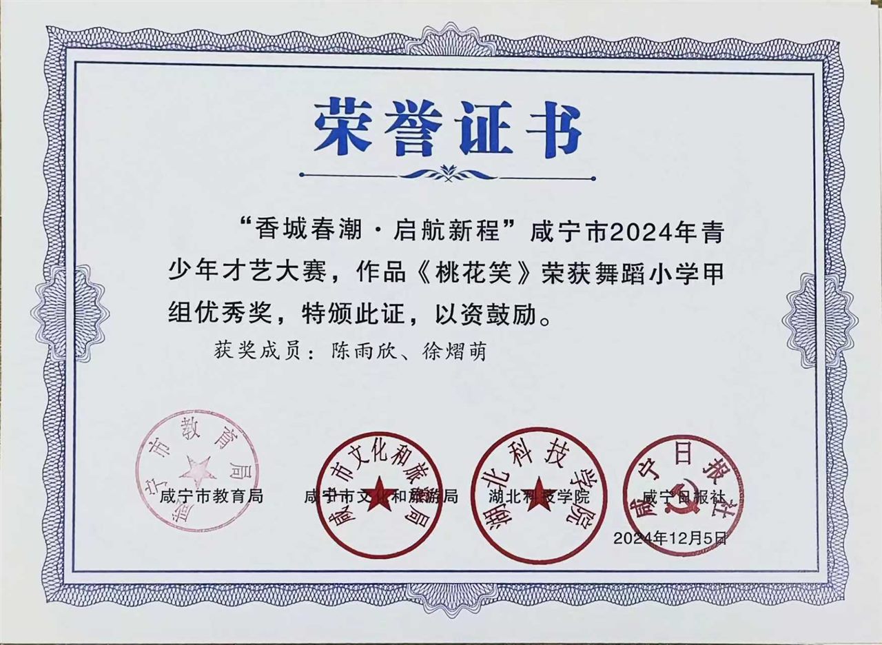 优秀奖